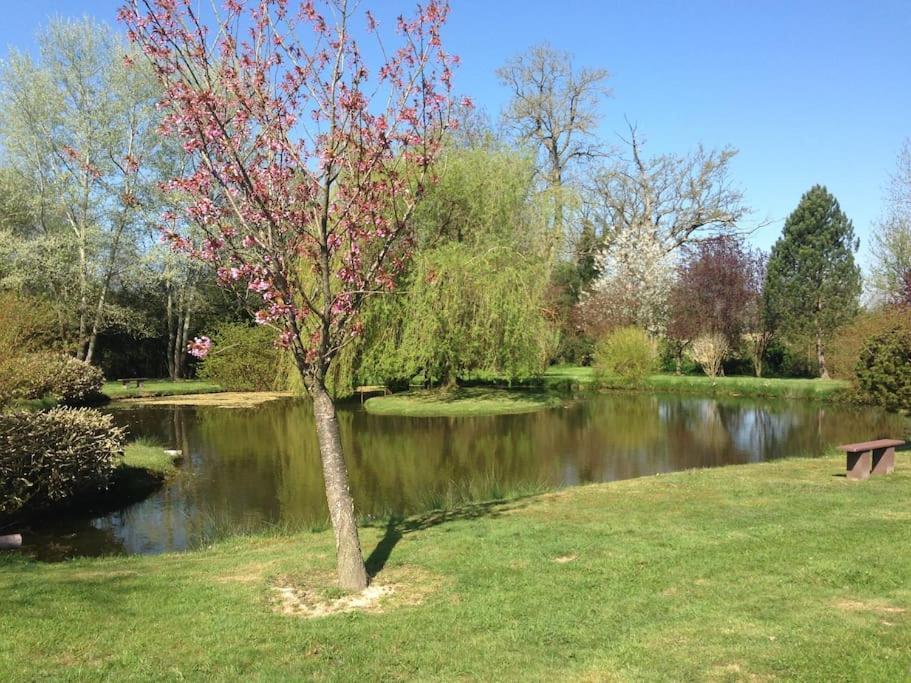 Вилла Domaine Du Bois L'Abbe Epaignes Экстерьер фото